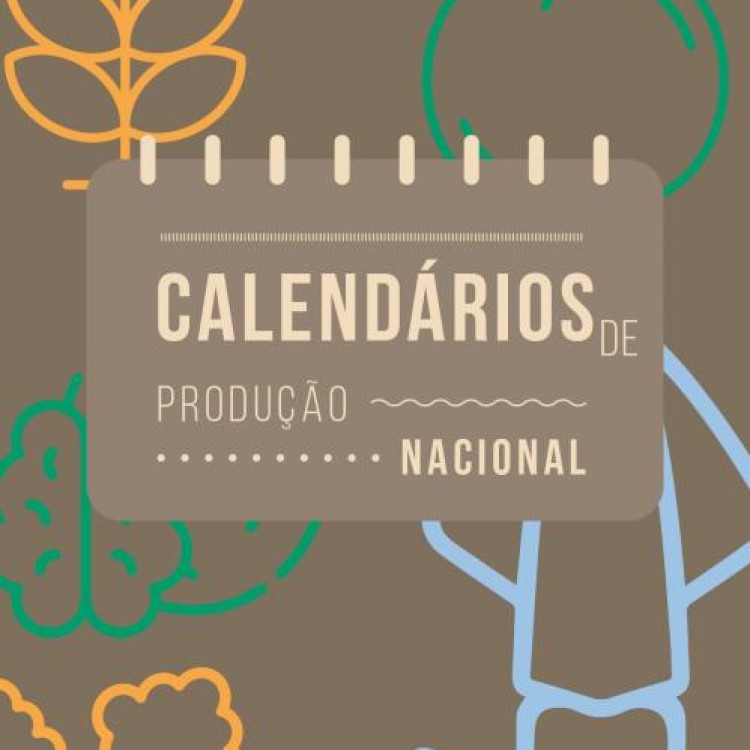 Lançamento | Calendários de Produção Nacional