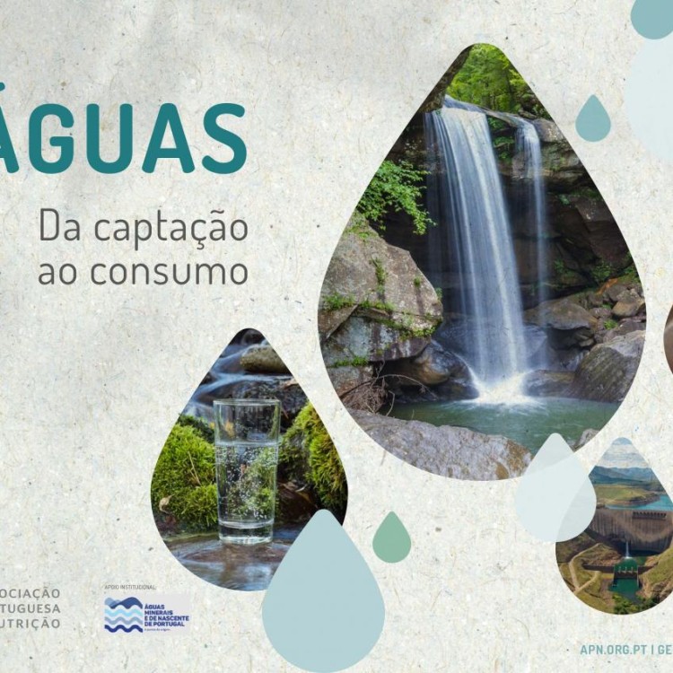 LANÇAMENTO | E-book