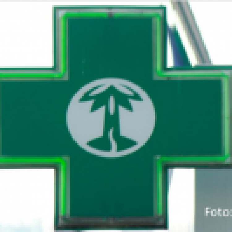 DGS | Nutricionistas a trabalhar em farmácias