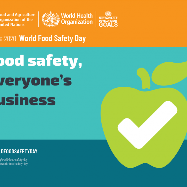 07.06.2020 | Dia Mundial da Segurança Alimentar