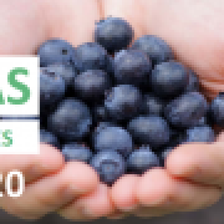 Destaques 2010-2020 | Programa Nacional para a Promoção da Alimentação Saudável