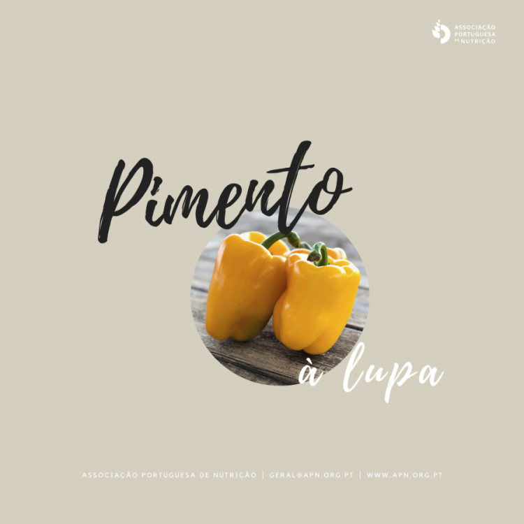 13.06.2020 | Dia de Santo António