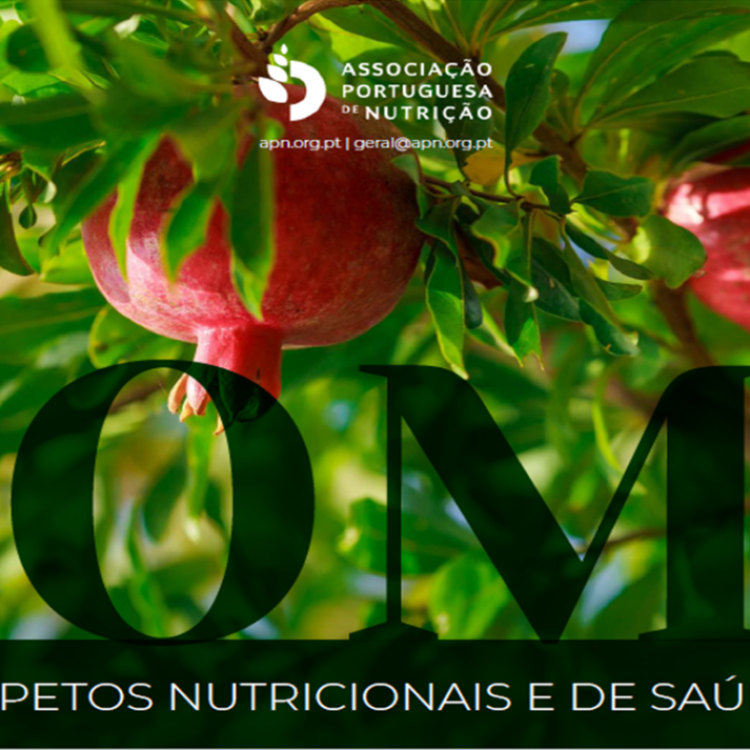 Lançamento | E-book