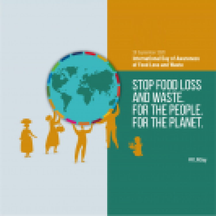 29.09.2020 | Dia internacional da consciencialização sobre perdas e desperdício alimentar