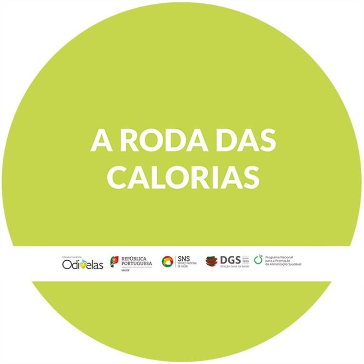 Roda das Calorias Interativa