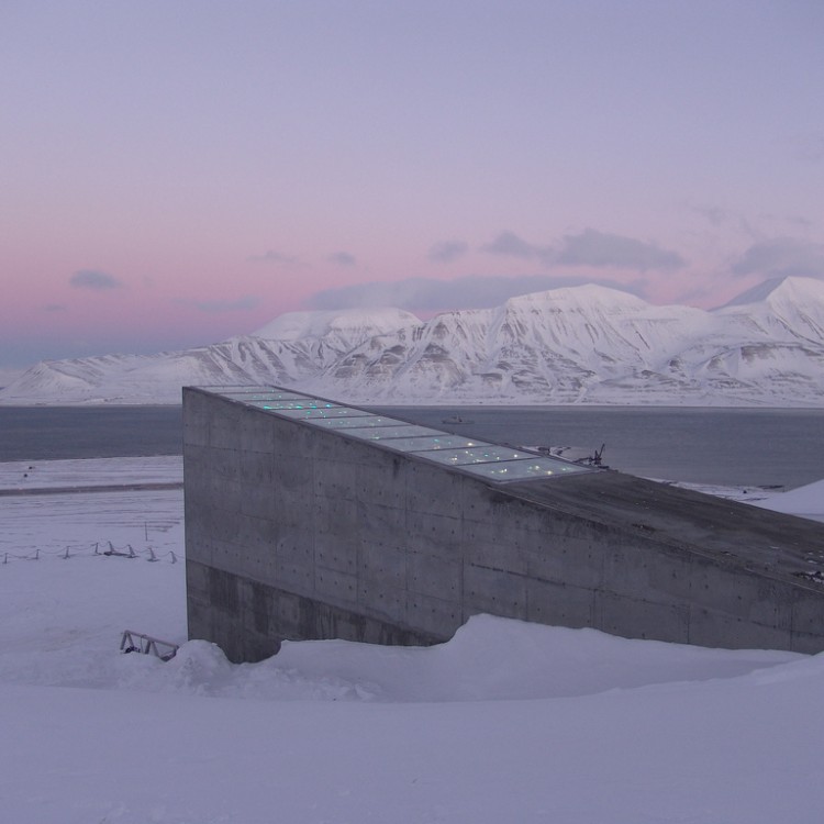 O cofre de sementes do Ártico já tem mais de 1 milhão de espécies