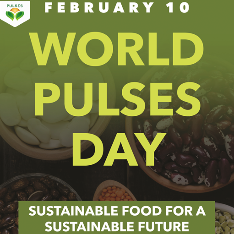 10.02.2020 | Dia Mundial das Leguminosas