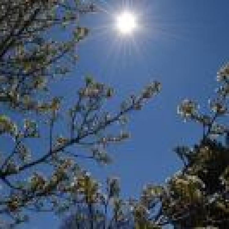 Estudo | Mais saúde sem sair da cidade. Hortas urbanas podem ser o 'segredo'